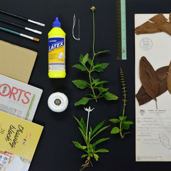 dsc_4395 be_wildflowers 800px